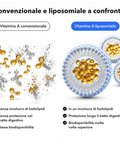 Vitamina A Liposomiale: Convenzionale e liposomiale a confronto