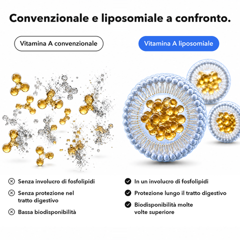 Vitamina A Liposomiale: Convenzionale e liposomiale a confronto