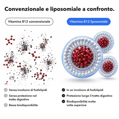 Vitamina B12 Liposomiale (Capsule): Convenzionale e liposomiale a confronto