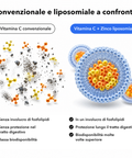Vitamina C + Zinco Liposomiale: Convenzionale e liposomiale a confronto