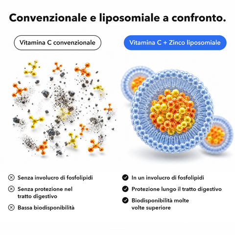 Vitamina C + Zinco Liposomiale: Convenzionale e liposomiale a confronto
