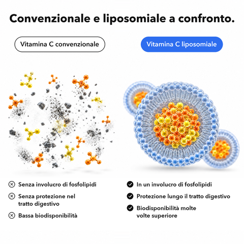 Vitamina C Liposomiale (Capsule): Convenzionale e liposomiale a confronto