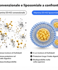 Vitamina D3+K2 Liposomiale (Capsule): Convenzionale e liposomiale a confronto