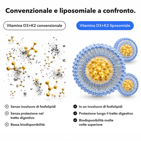 Vitamina D3+K2 Liposomiale (Capsule): Convenzionale e liposomiale a confronto