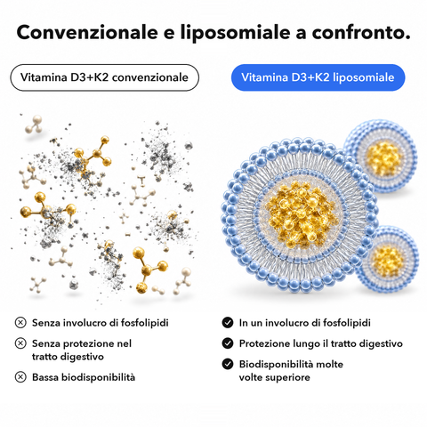 Vitamina D3+K2 Liposomiale: Convenzionale e liposomiale a confronto
