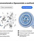 Zinco Liposomiale: Convenzionale e liposomiale a confronto