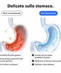 Acido Alfa-Lipoico Liposomiale (ALA): Delicato sullo stomaco