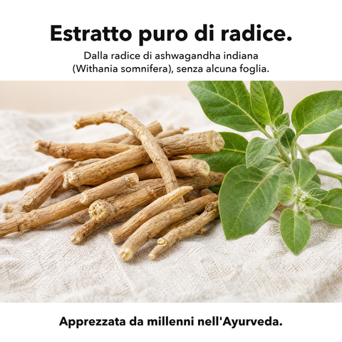 Ashwagandha Liposomiale: Estratto puro di radice