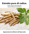 Ashwagandha Liposomiale (Capsule): Estratto puro di radice