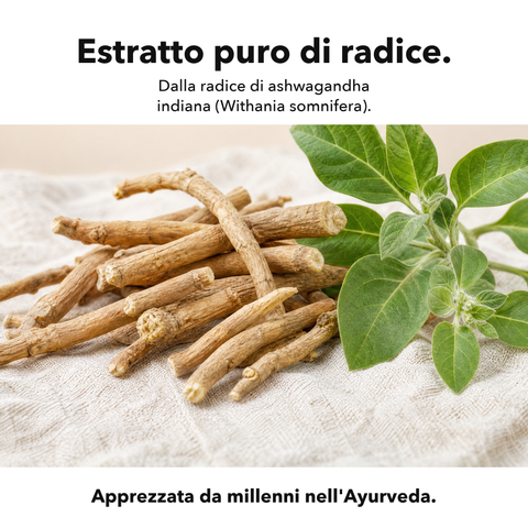 Ashwagandha Liposomiale (Capsule): Estratto puro di radice