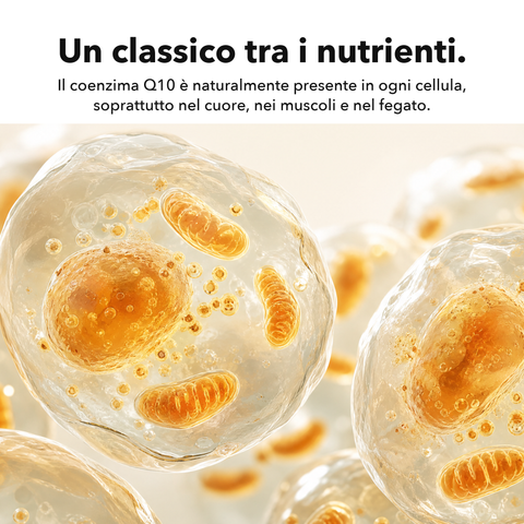 Coenzima Q10 Liposomiale: Un classico tra i nutrienti