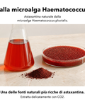 Estratto di Astaxantina Liposomiale: Dalla microalga Haematococcus