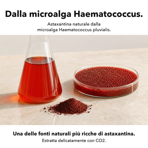Estratto di Astaxantina Liposomiale: Dalla microalga Haematococcus