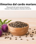 Estratto di Cardo Mariano Liposomiale: Silimarina dal cardo mariano