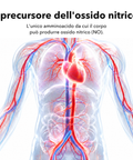 L-Arginina Liposomiale: Il precursore dell'ossido nitrico