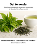 L-Teanina Liposomiale: Dal tè verde