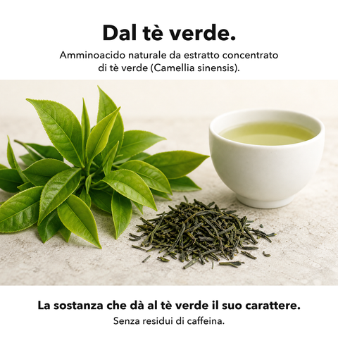 L-Teanina Liposomiale: Dal tè verde