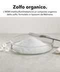 MSM Liposomiale: Zolfo organico