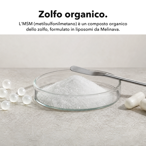 MSM Liposomiale: Zolfo organico