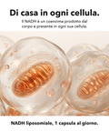 NADH Liposomiale: Di casa in ogni cellula
