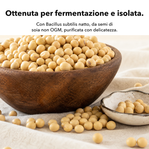 Nattokinasi 2000 FU: Ottenuta per fermentazione e isolata