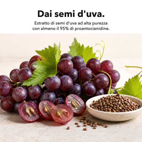 OPC Liposomiale: Dai semi d'uva