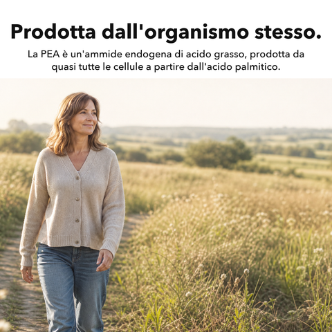 PEA Liposomiale: Prodotta dall'organismo stesso