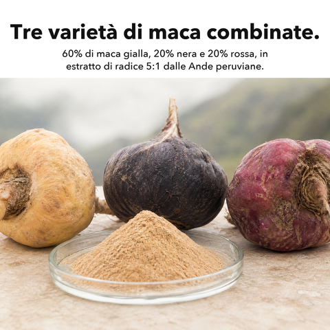 Radice di Maca Liposomiale: Tre varietà di maca combinate