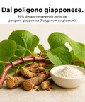 Resveratrolo Liposomiale: Dal poligono giapponese