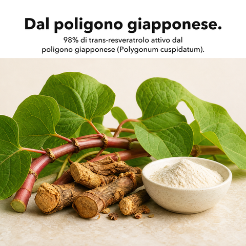 Resveratrolo Liposomiale: Dal poligono giapponese