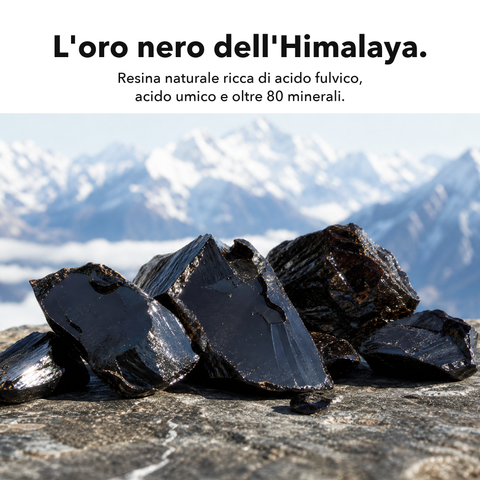 Shilajit Liposomiale: L'oro nero dell'Himalaya