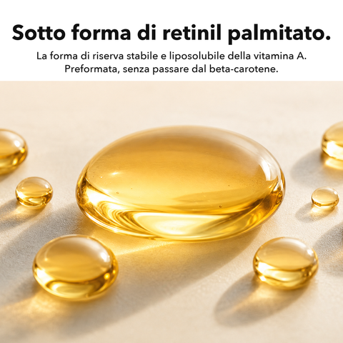 Vitamina A Liposomiale: Sotto forma di retinil palmitato