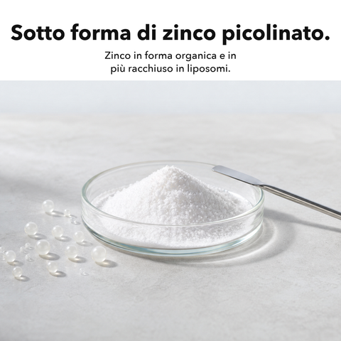 Zinco Liposomiale: Sotto forma di zinco picolinato