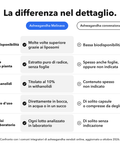 Ashwagandha Liposomiale: La differenza nel dettaglio