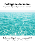 Collagene Marino: Collagene dal mare