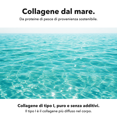 Collagene Marino: Collagene dal mare