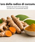 Estratto di Curcuma Liposomiale (Capsule): L'oro della radice di curcuma