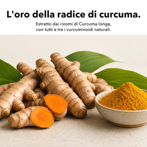 Estratto di Curcuma Liposomiale (Capsule): L'oro della radice di curcuma