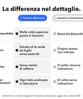 L-Teanina Liposomiale: La differenza nel dettaglio