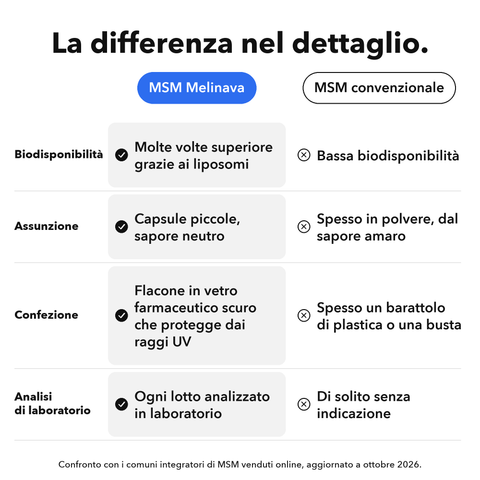 MSM Liposomiale: La differenza nel dettaglio