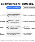 Vitamina C + Zinco Liposomiale: La differenza nel dettaglio