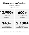 L-Lisina Liposomiale: Ricerca approfondita