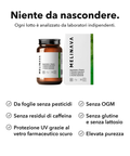 L-Teanina Liposomiale: Niente da nascondere