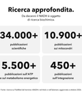 NADH Liposomiale: Ricerca approfondita