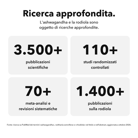Equilibrio Interno Liposomiale: Ricerca approfondita