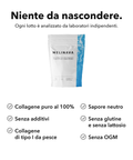 Collagene Marino: Niente da nascondere