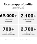 Vitamina C + Zinco Liposomiale: Ricerca approfondita