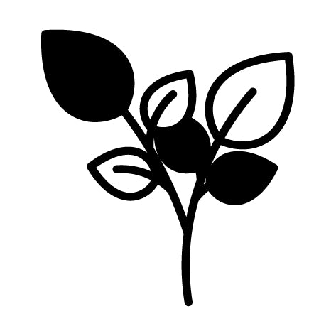 Sostanze vegetali